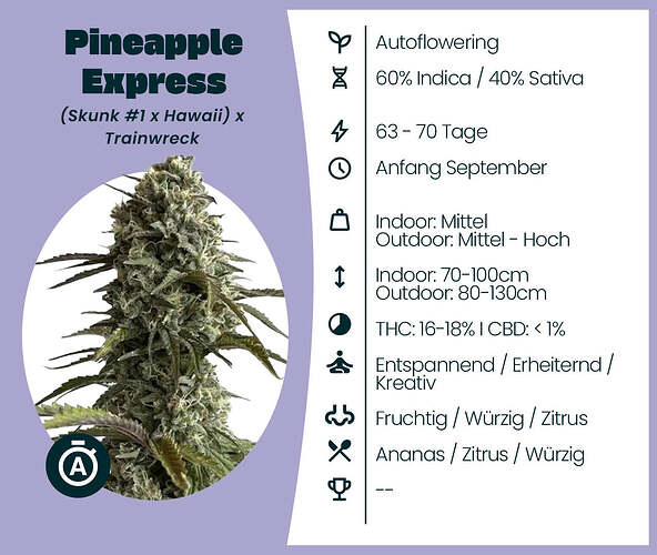 Pineapple Express Auto