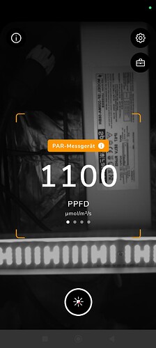 1000063615