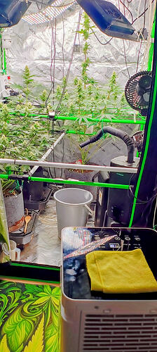IMG_20260803_145607025_HDR_AE~2