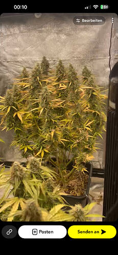 IMG_1844