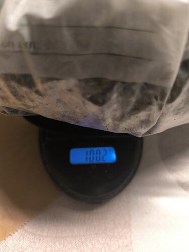1000064746