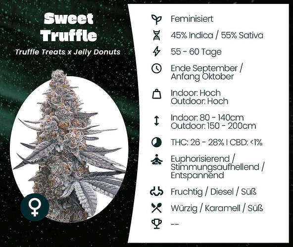 Sweet Truffle