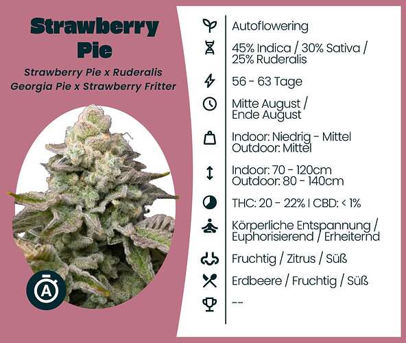 Strawberry Pie by Killicz - Balkon Test