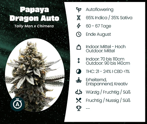 Papaya Dragon Auto by Killicz