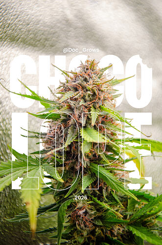 doc_grows_1